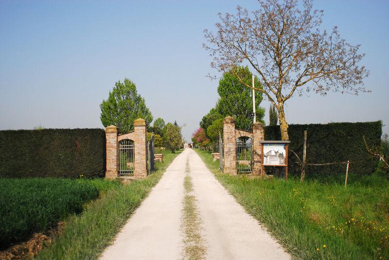 Agriturismo L'Angelina Villa Alfonsine Exterior photo